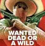 Wanted Dead or a Wild — slot at Lucky Hunter